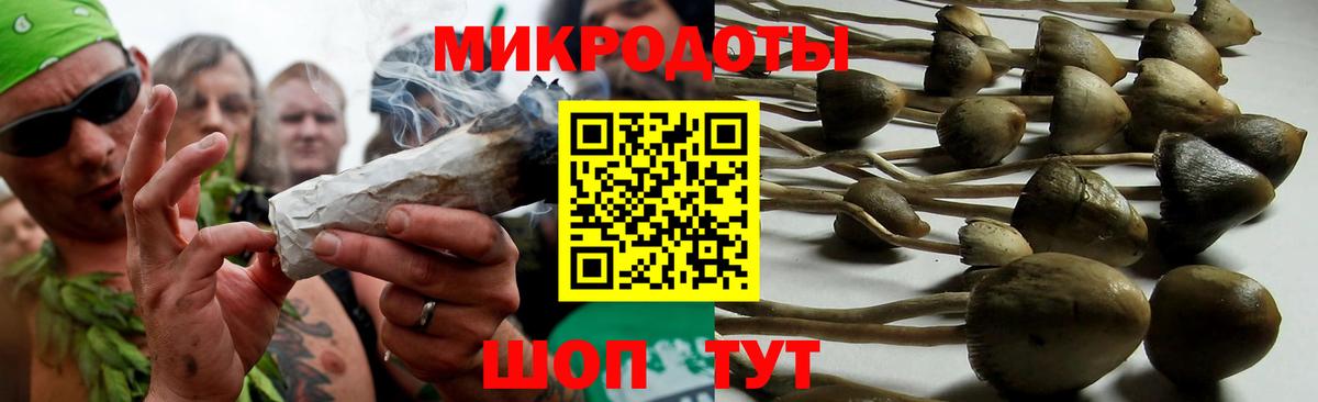 Белгород  Псилоцибиновые грибы прущие грибы  Вход с VPN 