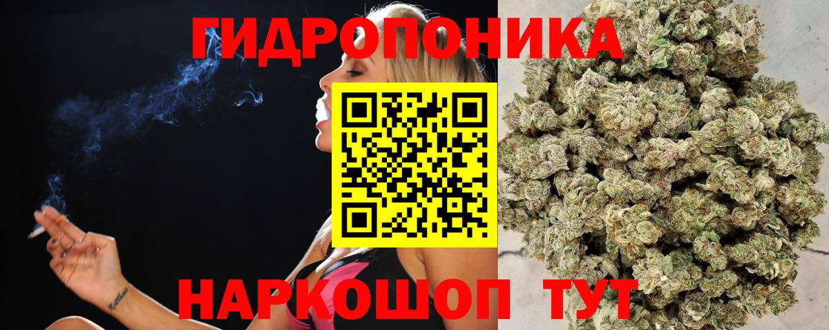 Белгород  Каннабис Ganja  Бошки марихуана планчик  Марихуана MAZAR  Каннабис план  Вход с VPN 